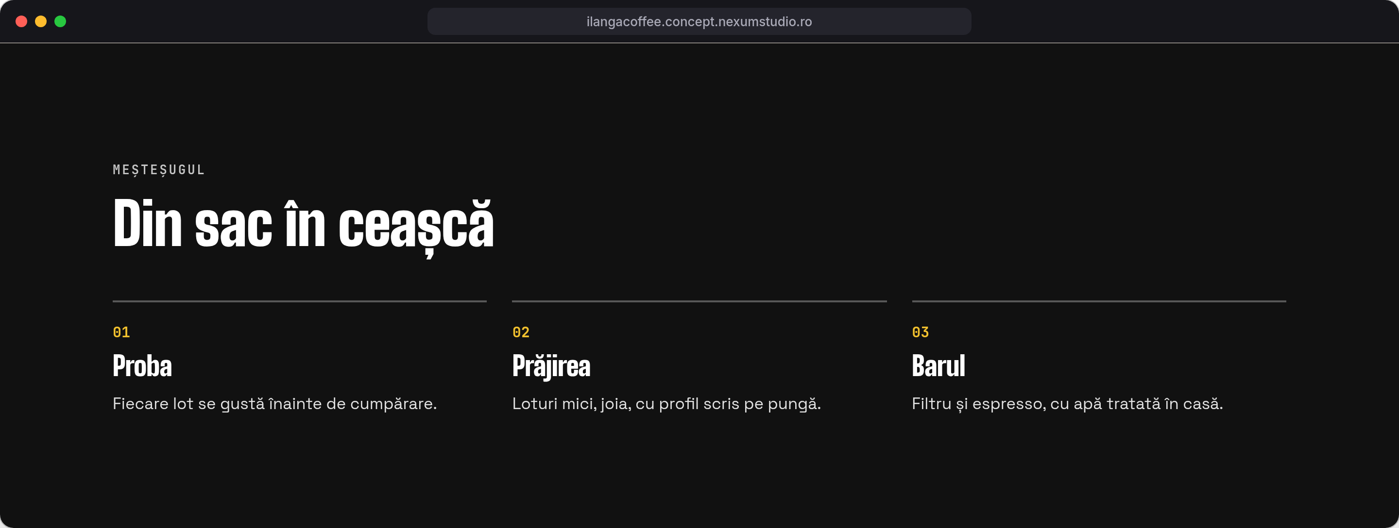 ILANGA COFFEE: Meșteșugul, desktop