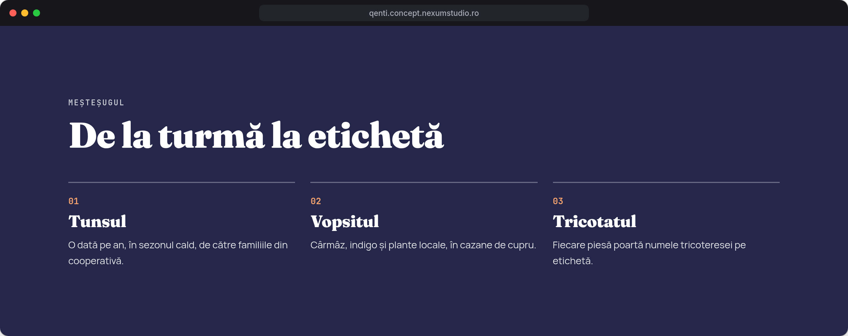 Q’ENTI: Meșteșugul, desktop